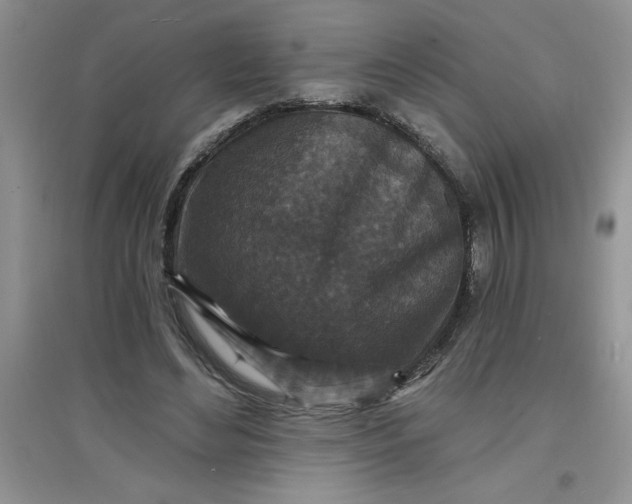 X0000097610492200803141942