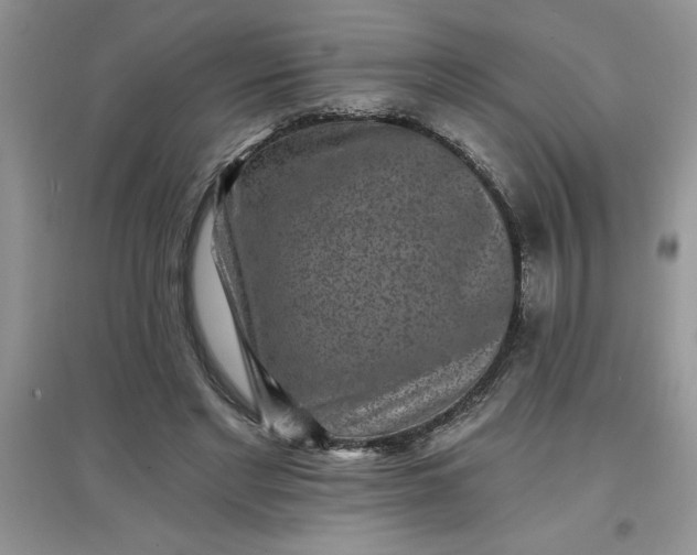 X0000097610493200803141942