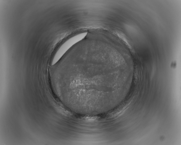 X0000097610495200803141942