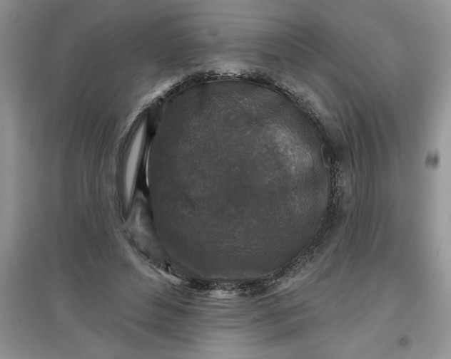 X0000097610496200803141942