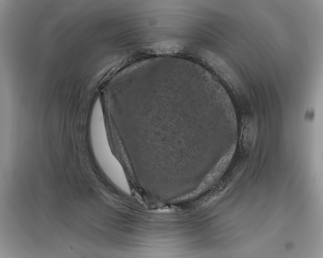 X0000097610501200803141942