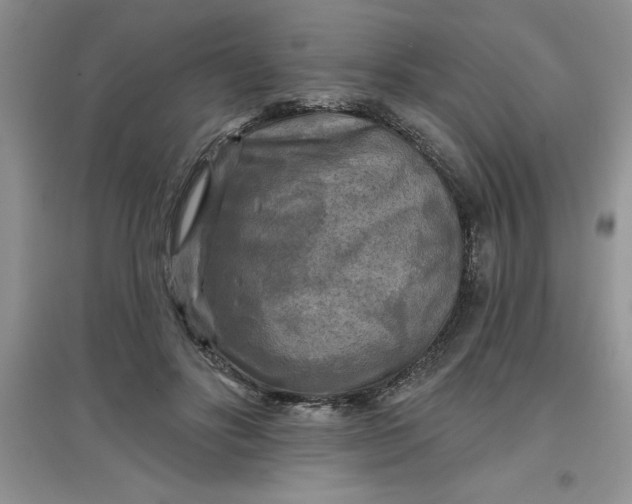 X0000097610502200803141942