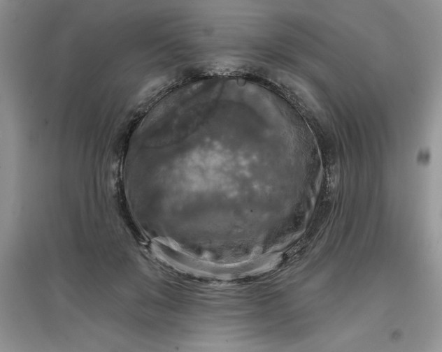 X0000097610503200803141942