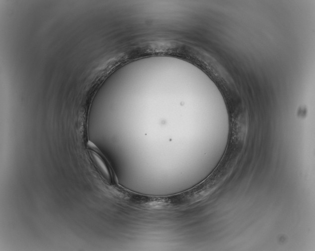 X0000097610505200803141942