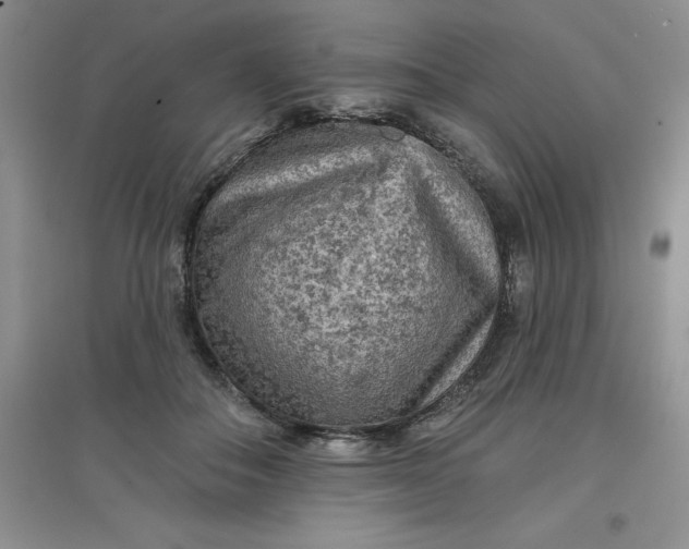 X0000097610506200803141942