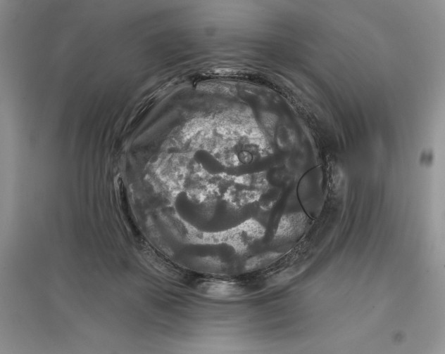 X0000097610507200803141942