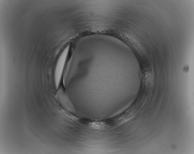 X0000097610508200803141942