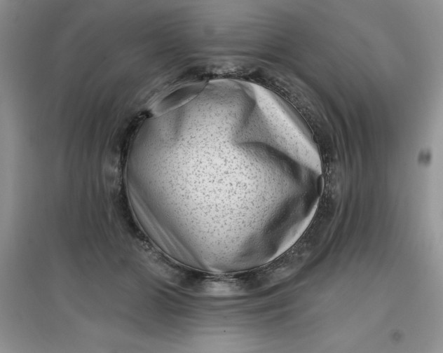 X0000097610510200803141942