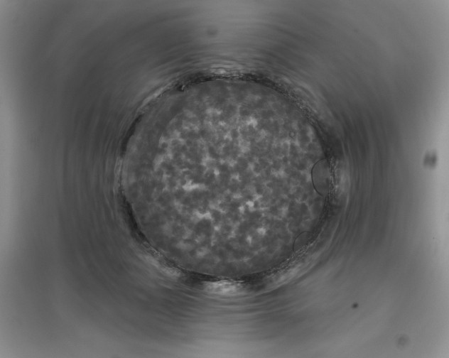 X0000097610511200803141942