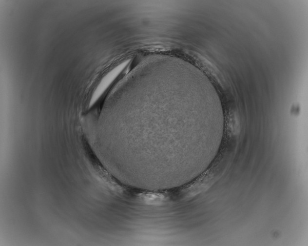 X0000097610512200803141942