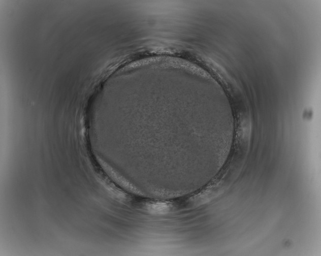 X0000097610513200803141942