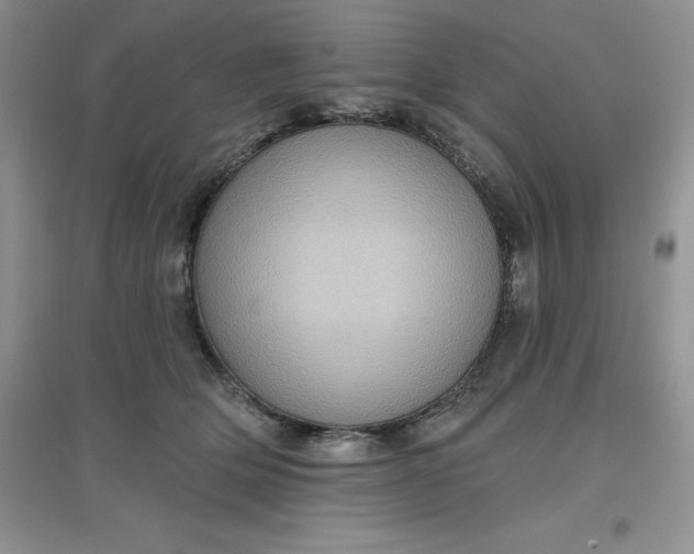 X0000097610514200803141942