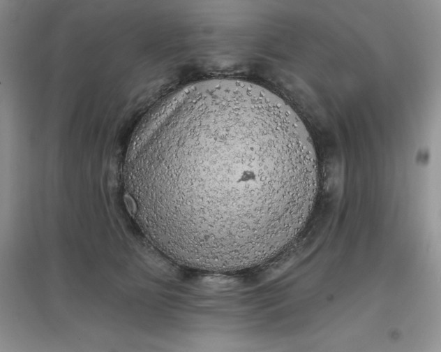 X0000097610515200803141942