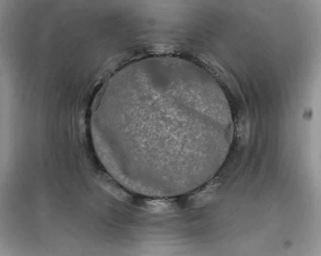 X0000097610516200803141942