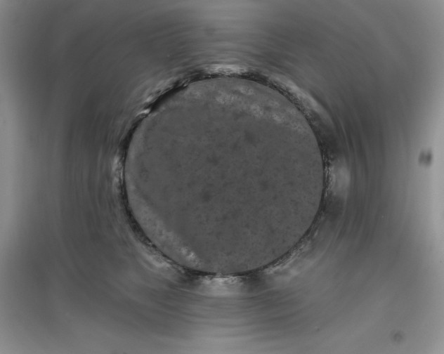 X0000097610517200803141942