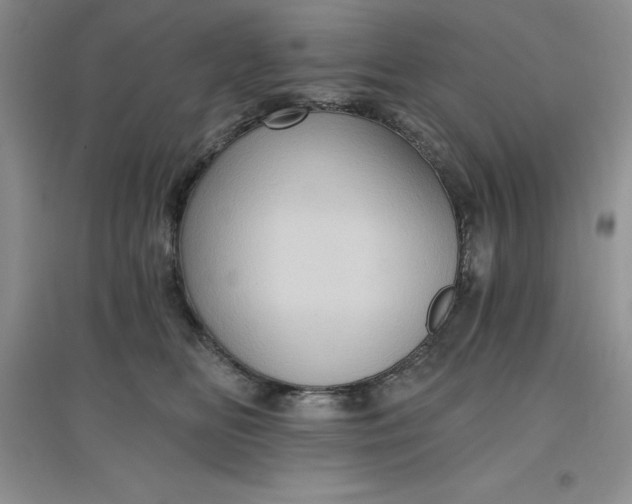 X0000097610518200803141942