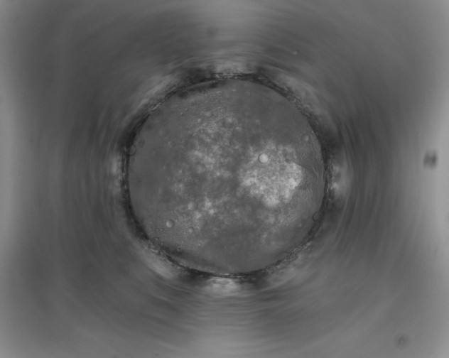 X0000097610519200803141942