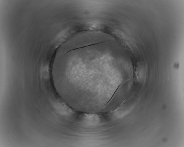 X0000097610520200803141942