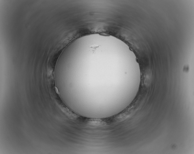 X0000097610521200803141942