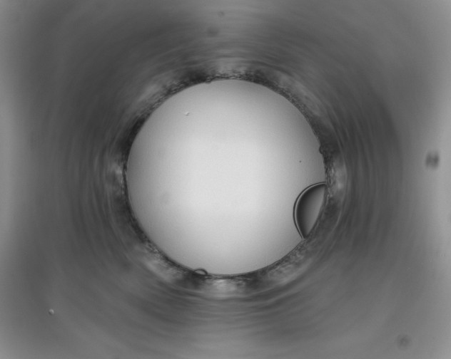 X0000097610522200803141942