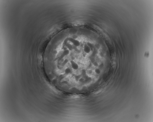 X0000097610523200803141942