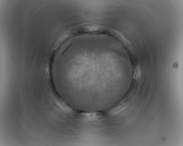 X0000097610524200803141942