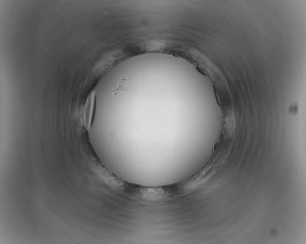 X0000097610525200803141942