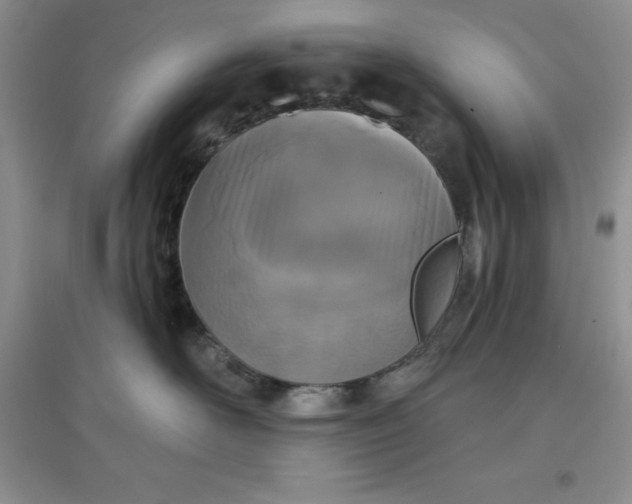 X0000097610526200803141942