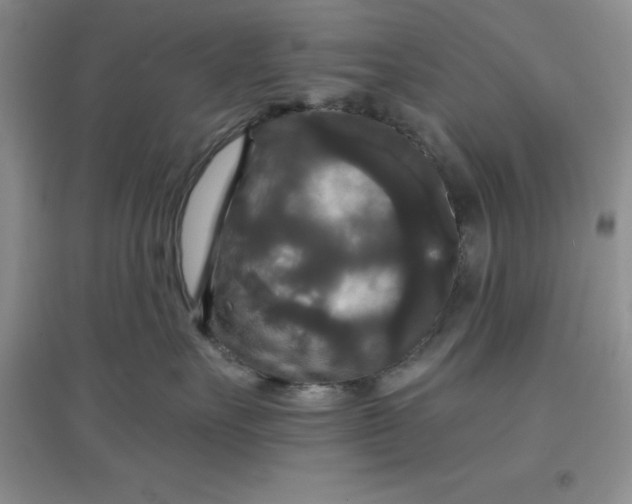 X0000097610527200803141942