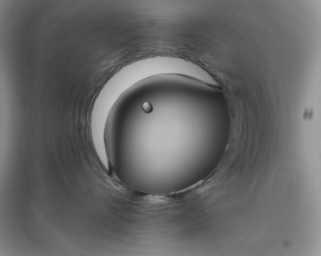 X0000097610528200803141942