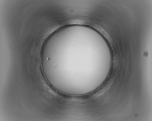 X0000097610529200803141941