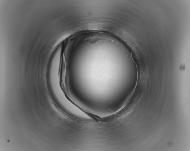 X0000097610530200803141941