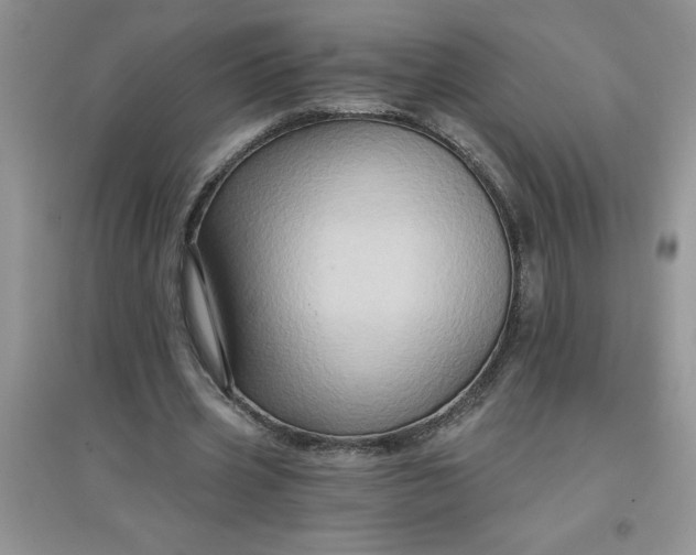 X0000097610533200803141941