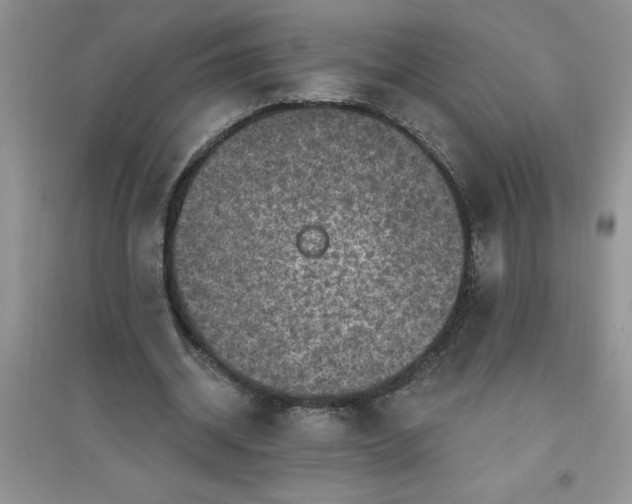 X0000097610534200803141941