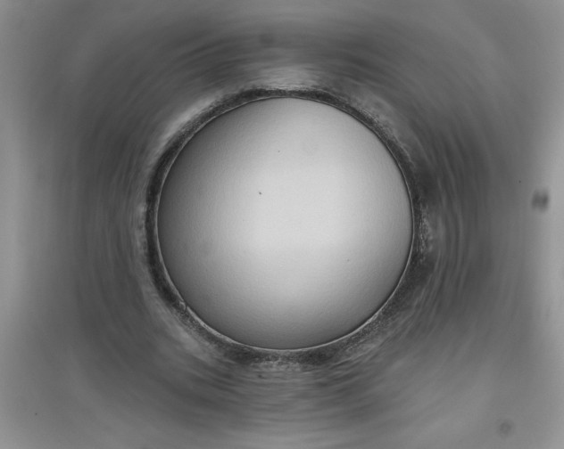 X0000097610535200803141941