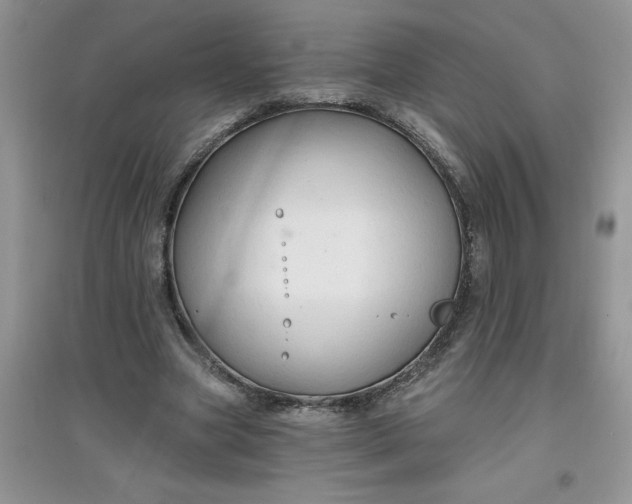 X0000097610537200803141941