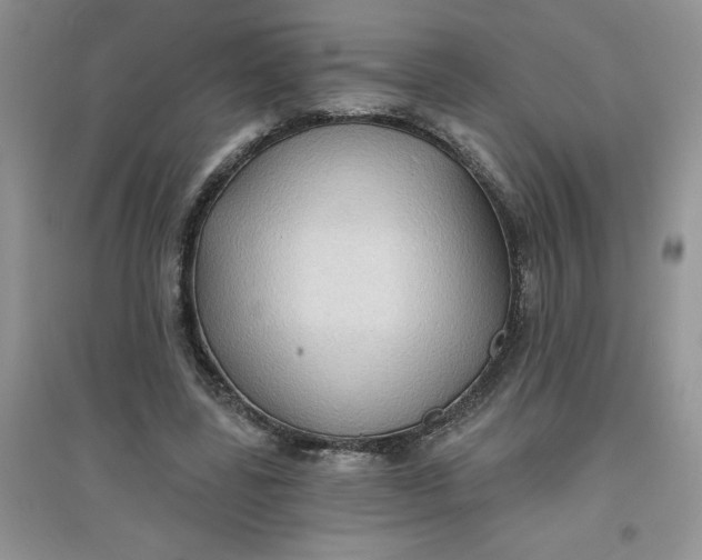 X0000097610539200803141941