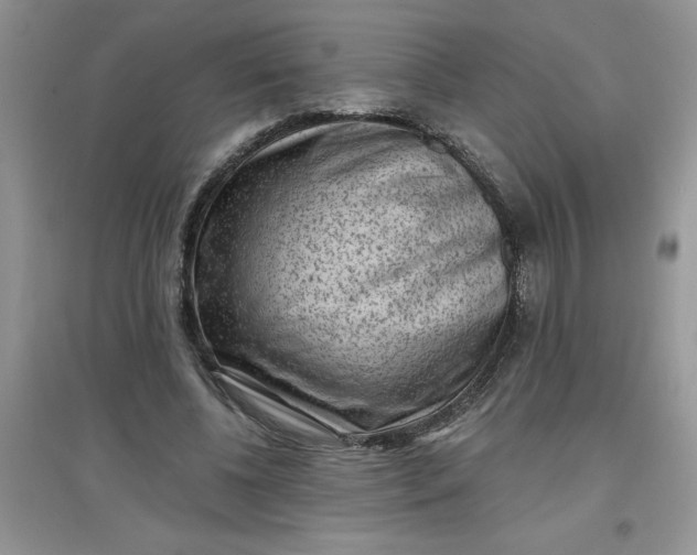 X0000097610540200803141941