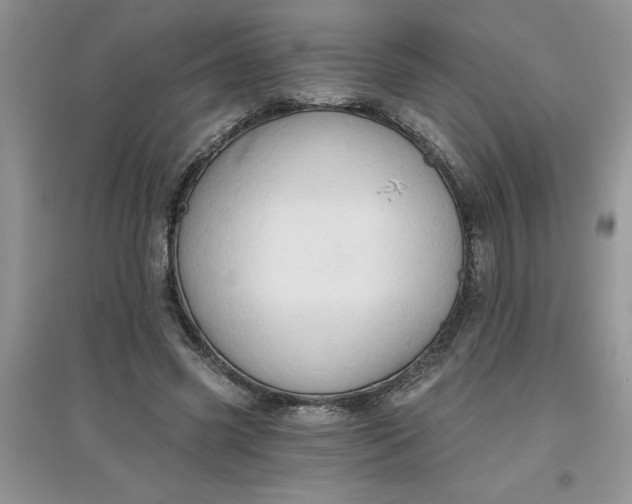 X0000097610541200803141941