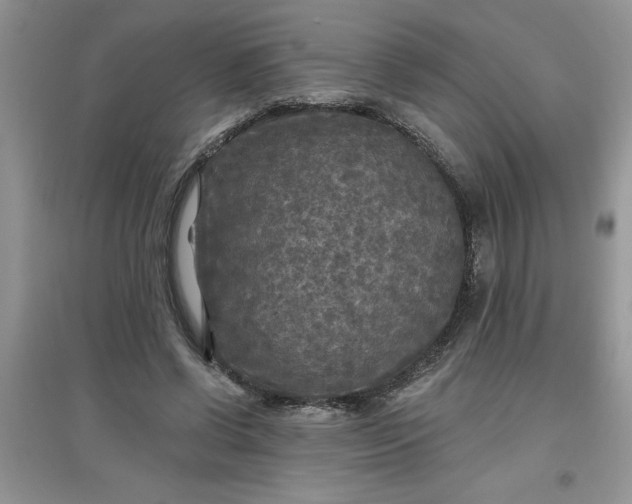 X0000097610542200803141941