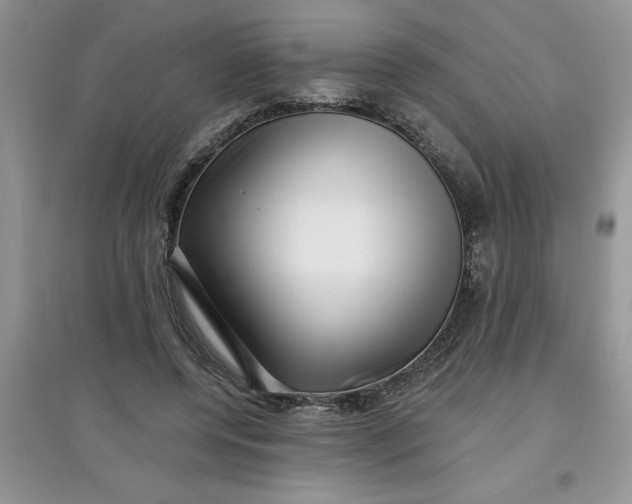 X0000097610544200803141941