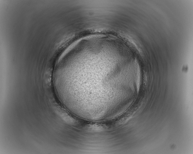 X0000097610545200803141941