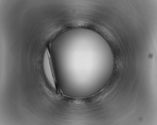 X0000097610546200803141941