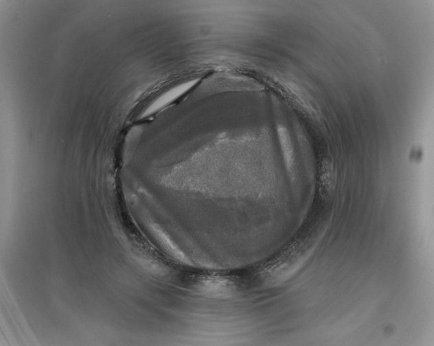 X0000097610547200803141941