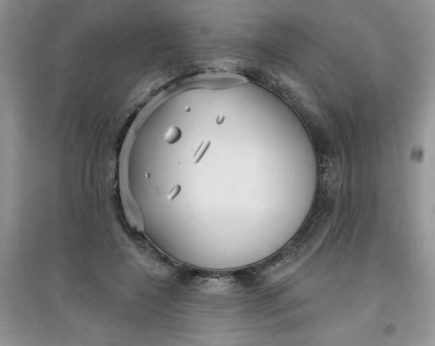 X0000097610548200803141941