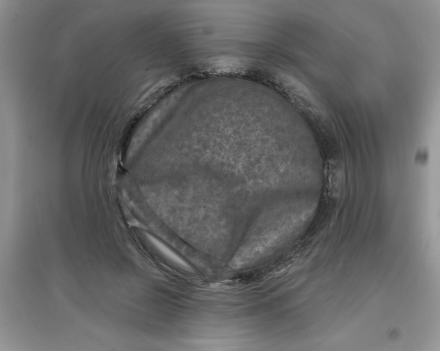 X0000097610550200803141941