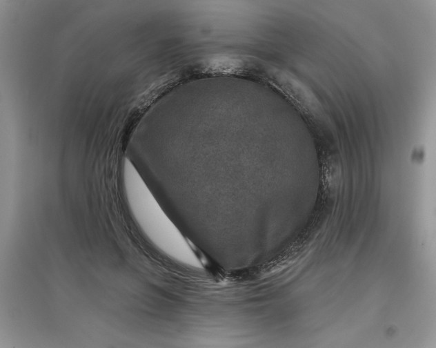 X0000097610551200803141941