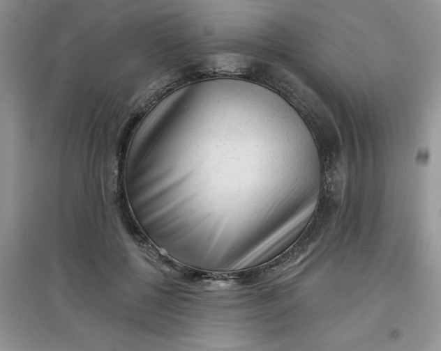 X0000097610552200803141941