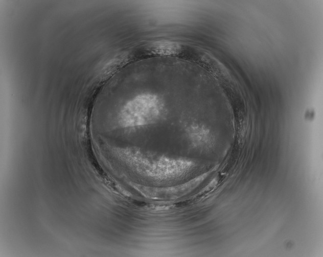 X0000097610553200803141941