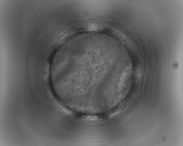 X0000097610554200803141941